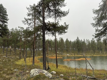 SSF Nedre Norrbotten - En av tio lokalklubbar 