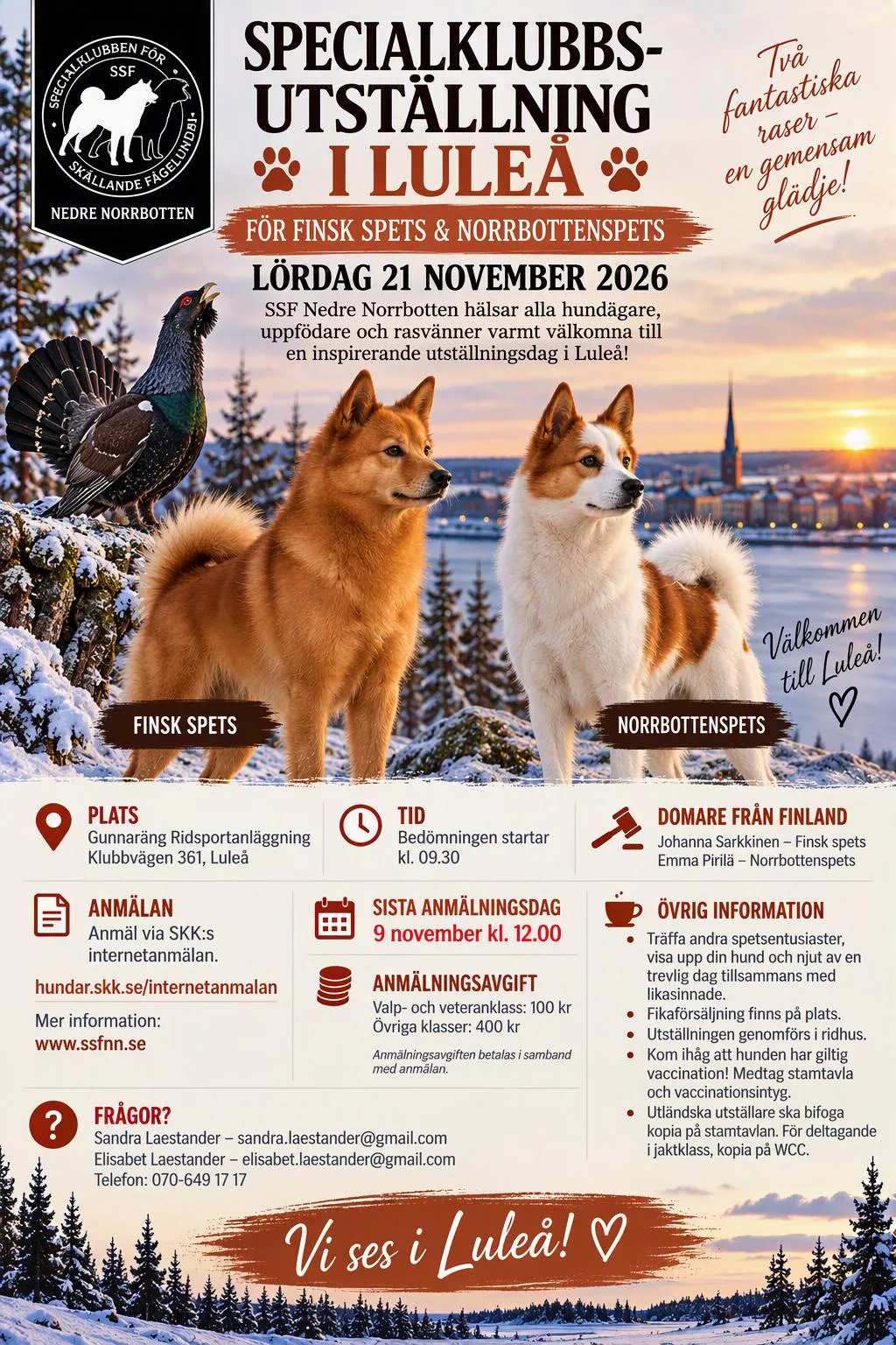 Utställning i Luleå 21 november 2026