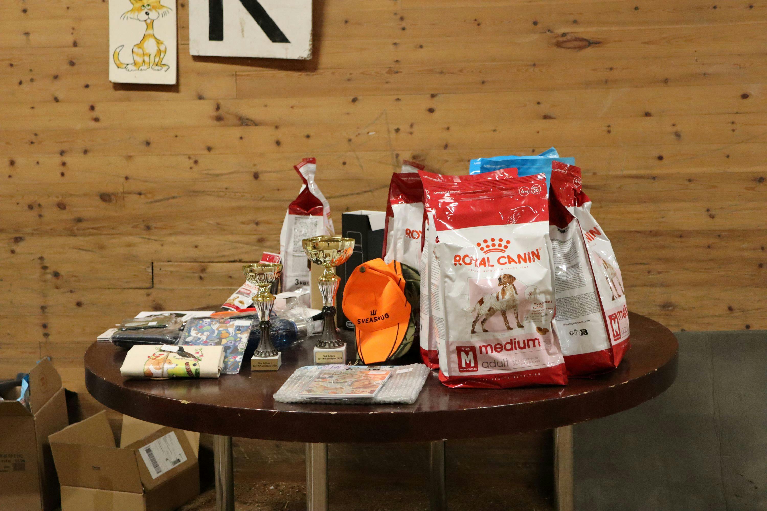 Utställning Arvidsjaur 2024