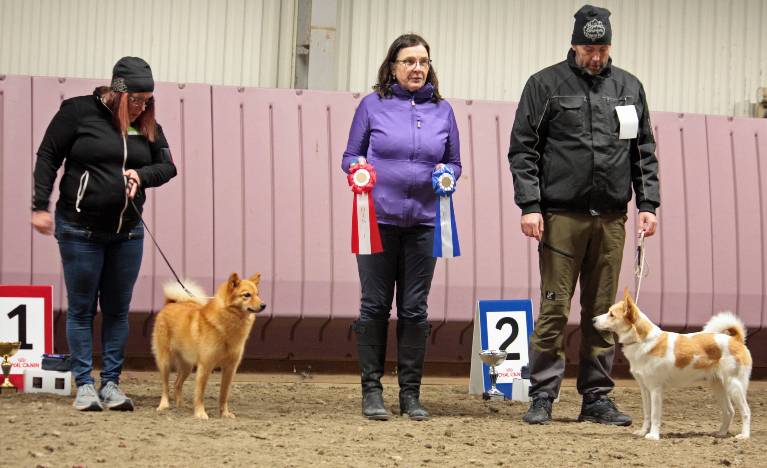 Utställning i Piteå 2022